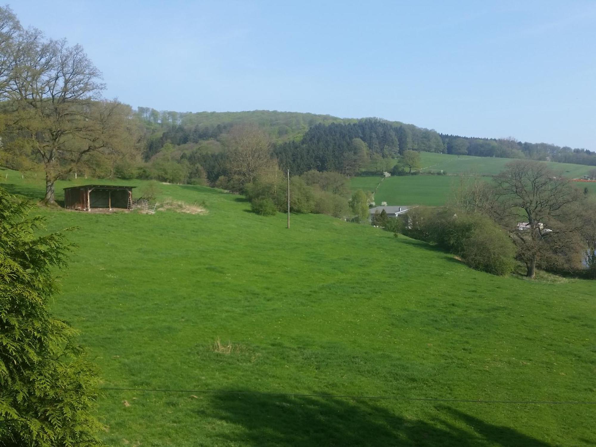 Fewo Am Wald Balve Camera foto
